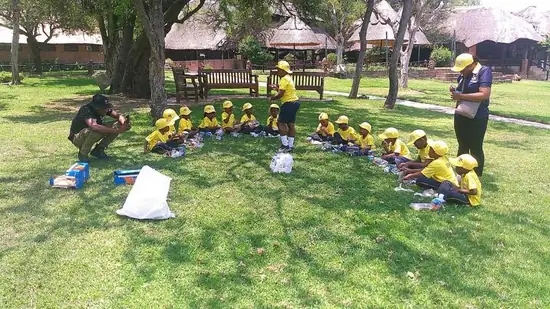 Picnic outing under the trees